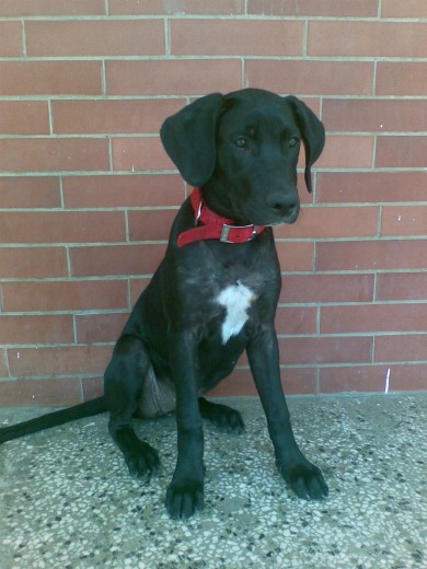 aki tenia 4 meses aki tenia 4 meses